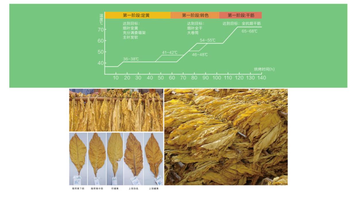 微信截圖_20210810150224.jpg